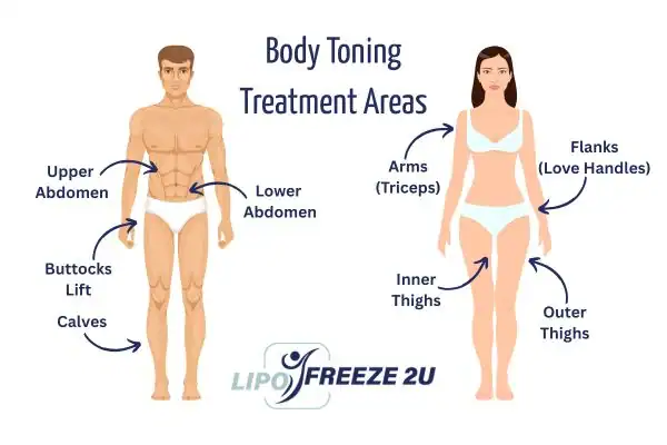 Graphic showing where you can have Body toning Treatment Manchester on your body